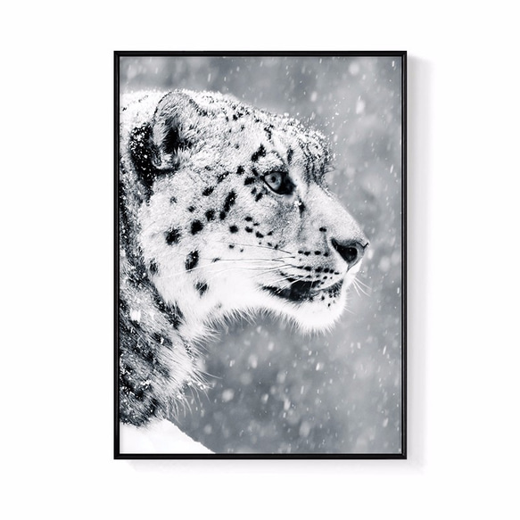 パイナップル絵画セレクション – Persistence-Snow Leopard 30x40cm 北欧 / イラスト / 写真 1枚目の画像