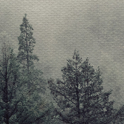 パイナップル絵画セレクション – 霧の森 42x60cm (A2) 北欧/山/森/写真/模写/装飾画/絵画 7枚目の画像