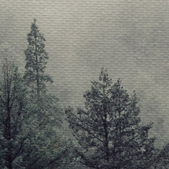 パイナップル絵画セレクション – 霧の森 42x60cm (A2) 北欧/山/森/写真/模写/装飾画/絵画 7枚目の画像