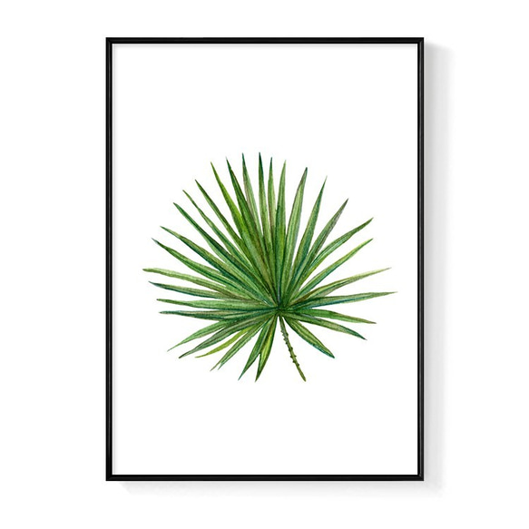 菠蘿選畫所 – 花草生活•棕櫚葉  30x40cm 北歐/ 插畫/ 裝飾畫/ 複製畫/ 掛畫/ 植物 第1張的照片