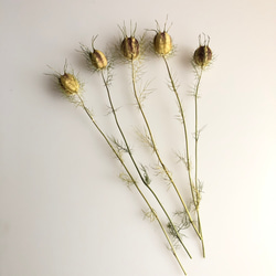 松ぼっくり5個セット その他素材 hithit26 通販 6504399｜Creema