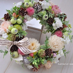 再販mini-wreath　17cm：白い小花と ｼｭｶﾞｰｱｯﾌﾟﾙ 1枚目の画像