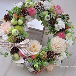 再販mini-wreath　17cm：白い小花と ｼｭｶﾞｰｱｯﾌﾟﾙ 5枚目の画像