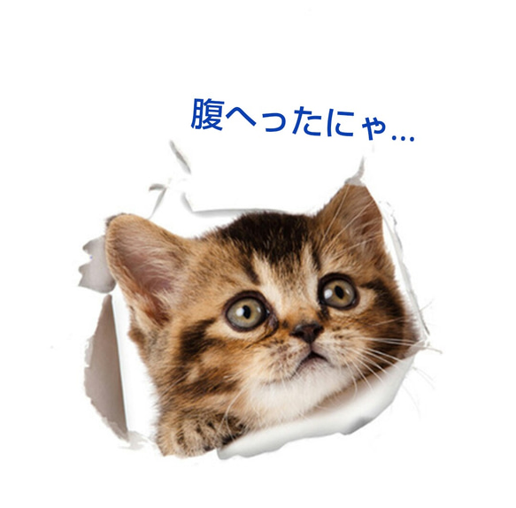 【巨大ステッカー】猫ちゃん 超キュート 1枚目の画像