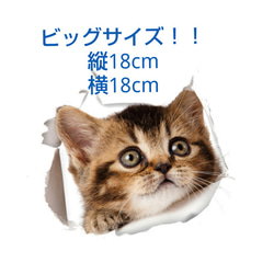 【巨大ステッカー】猫ちゃん 超キュート 2枚目の画像