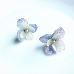 紫と青のアジサイの不滅の花の手作りの樹脂のイヤリングの耳のピン/耳クリップ 1枚目の画像