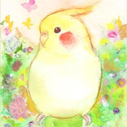 うちの子インコのイラスト（原画 鳥 インコ オリジナル 水彩画