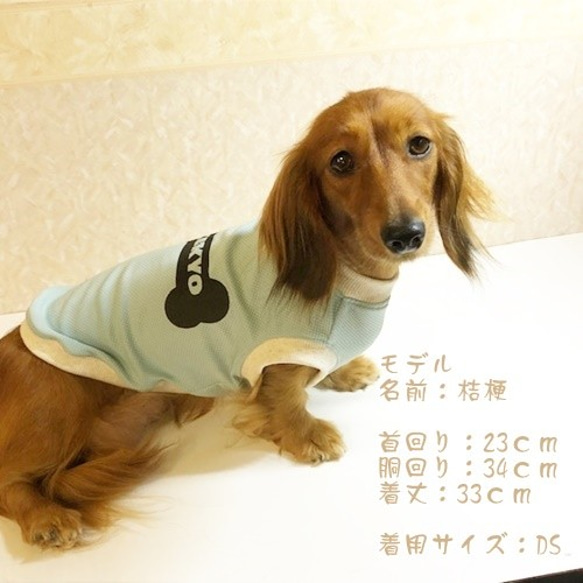 接触冷感タンクトップ お名前入り 【ボーン】 Dog 犬服 ドッグウェア 夏　骨 10枚目の画像