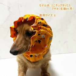 スヌード ハロウィンきのこ柄 【オレンジ】 たれ耳わんこ  ドッグウェア 犬服 小型犬　ハロウィン コスプレ 4枚目の画像