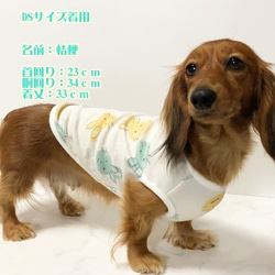 タンクトップ  うさぎ柄 【パイン】 Dog 犬服 ドッグウェア 春秋　ウサギ　兎 6枚目の画像