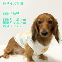 タンクトップ  うさぎ柄 【パイン】 Dog 犬服 ドッグウェア 春秋　ウサギ　兎 7枚目の画像