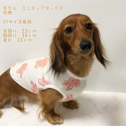 タンクトップ  うさぎ柄 【ピーチ】 Dog 犬服 ドッグウェア 春秋　ウサギ　兎 6枚目の画像