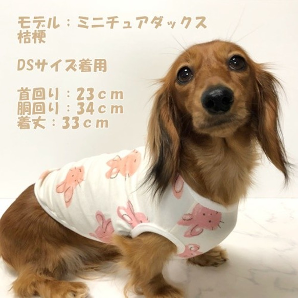 タンクトップ  うさぎ柄 【ピーチ】 Dog 犬服 ドッグウェア 春秋　ウサギ　兎 7枚目の画像