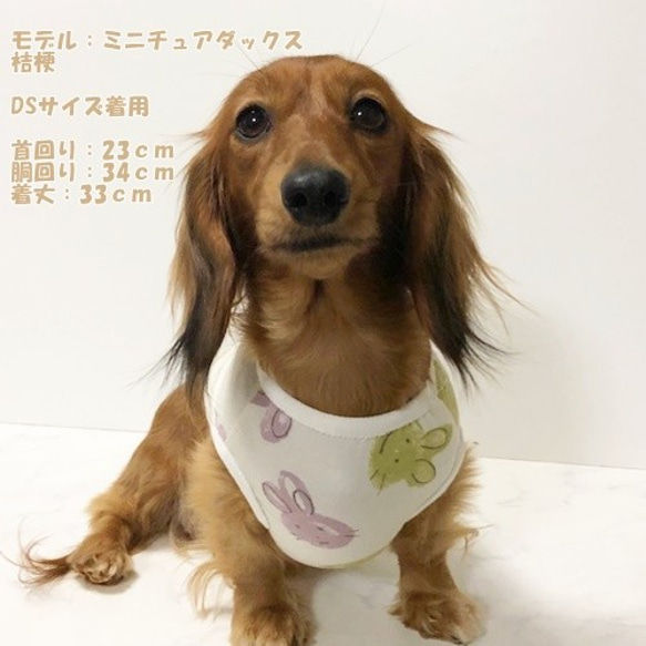 タンクトップ  うさぎ柄 【ピスタチオ】 Dog 犬服 ドッグウェア 春秋　ウサギ　兎 6枚目の画像