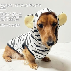 パーカーホワイトタイガー  【SS~M・ﾀﾞｯｸｽｻｲｽﾞ】犬服 ﾄﾞｯｸﾞｳｪｱ 虎 トラ 年賀状 9枚目の画像