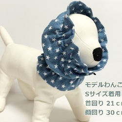 スヌード Ｗガーゼ スター柄 【オールドブルー】  たれ耳わんこ  ドッグウェア 犬服 小型犬 3枚目の画像