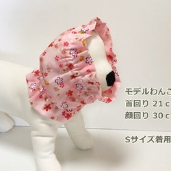 スヌード 桜柄   『ピンク』 たれ耳わんこ  ドッグウェア 犬服 小型犬 中型犬 大型犬  桜 3枚目の画像