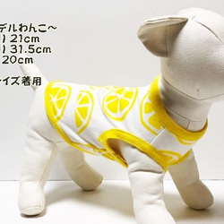 タンクトップ オレンジ柄 【黄色】  Dog 犬服  ドッグウェア 小型犬 春夏 7枚目の画像
