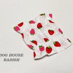 犬服 3S わんこの普段着　ときどき白いちご 0_3c86d434e766c975782e17a42117