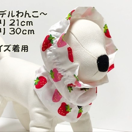 スヌード いちご柄 『白』 たれ耳わんこ ドッグウェア 犬服 小型犬 犬