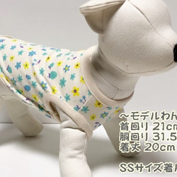 タンクトップ ストロベリー＆チェリー 【ミント】 Dog 犬服  ドッグウェア 小型犬 春 秋 8枚目の画像