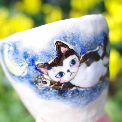 宇宙遊泳  猫ちゃん  酒盃  ミニカップ  (ハチワレ) 4枚目の画像