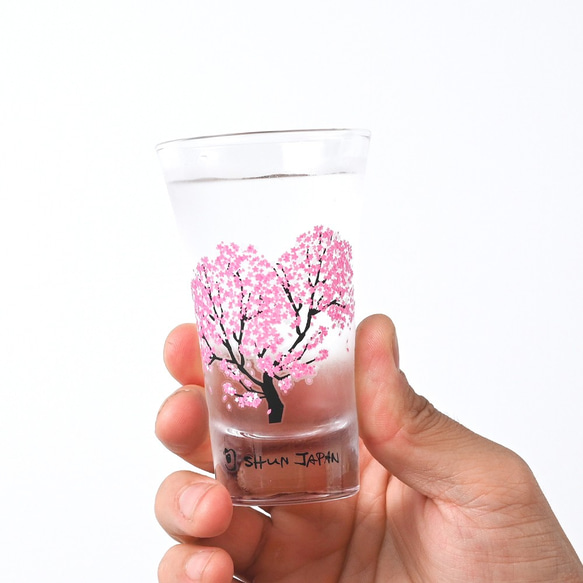 丸モ高木陶器 - 日本櫻花滿開冷感變色SHOT杯 第4張的照片