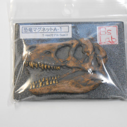 陶製恐竜マグネット・T-rex（モデル：Sue）茶色 4枚目の画像