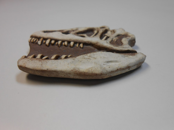 陶製恐竜マグネット・アロサウルス　白色 3枚目の画像