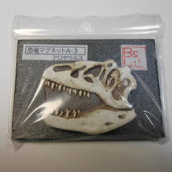 陶製恐竜マグネット・アロサウルス　白色 4枚目の画像
