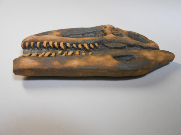 陶製恐竜マグネット・ギガノトサウルス　茶色 3枚目の画像