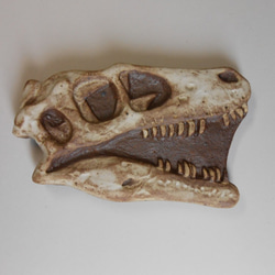 陶製恐竜マグネット・ドロマエオサウルス　白色 1枚目の画像