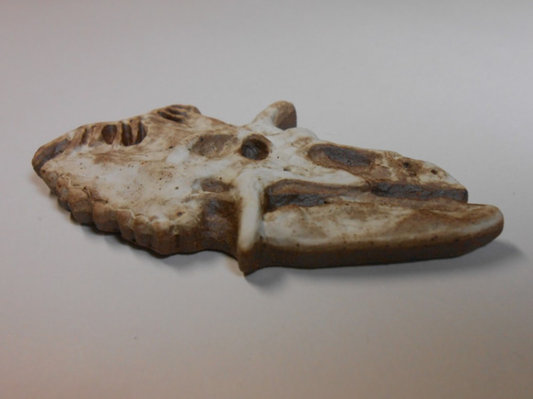 陶製恐竜マグネット・コスモケラトプス　白色 3枚目の画像
