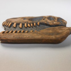 陶製恐竜マグネット・T-rex（モデル：Jane）茶色 3枚目の画像