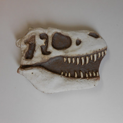 陶製恐竜マグネット・T-rex（モデル：Wankel）白色 1枚目の画像