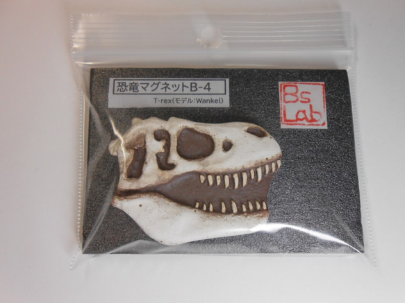 陶製恐竜マグネット・T-rex（モデル：Wankel）白色 4枚目の画像