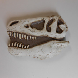 陶製恐竜マグネット・T-rex（モデル:AMNH-5027）白色 1枚目の画像