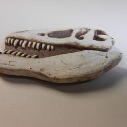 陶製恐竜マグネット・T-rex（モデル:AMNH-5027）白色 3枚目の画像