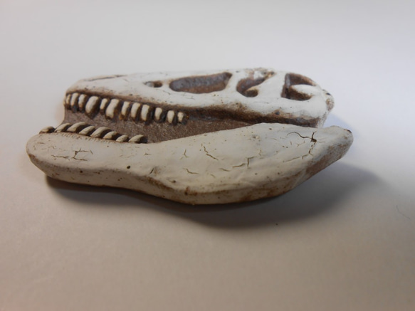 陶製恐竜マグネット・T-rex（モデル:AMNH-5027）白色 3枚目の画像
