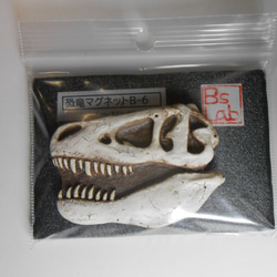 陶製恐竜マグネット・T-rex（モデル:AMNH-5027）白色 4枚目の画像