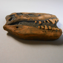 陶製恐竜マグネット・T-rex（モデル:Duffy）茶色 3枚目の画像