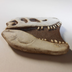 陶製恐竜マグネット・T-rex（モデル:Bucky）白色 3枚目の画像