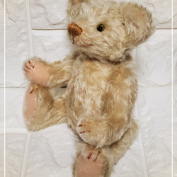 TEDDY BEAR 25 cm  KNSTDA25-01 2枚目の画像