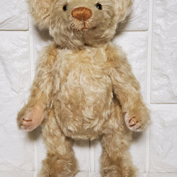 TEDDY BEAR 25 cm  KNSTDA25-01 3枚目の画像