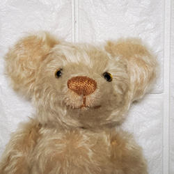 TEDDY BEAR 25 cm  KNSTDA25-01 5枚目の画像