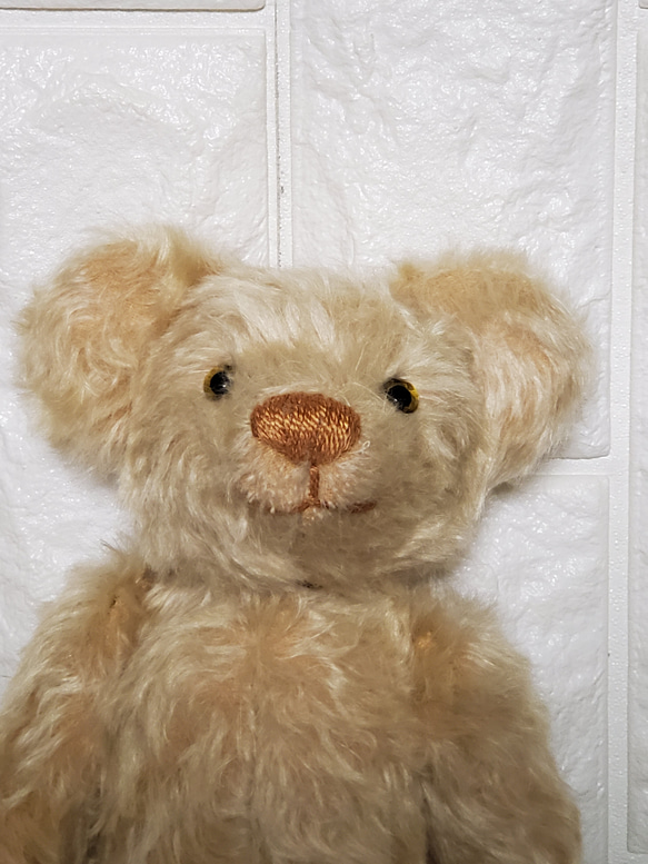 TEDDY BEAR 25 cm  KNSTDA25-01 5枚目の画像