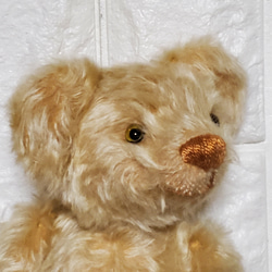TEDDY BEAR 25 cm  KNSTDA25-01 6枚目の画像