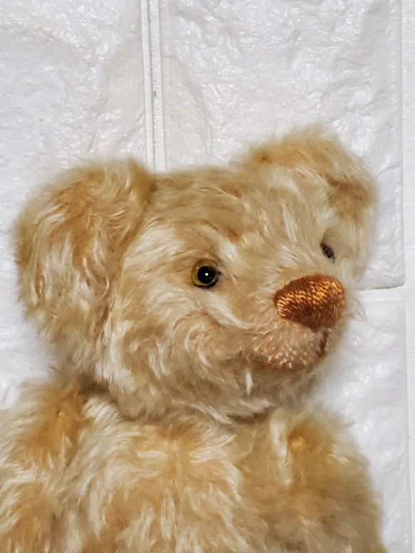 TEDDY BEAR 25 cm  KNSTDA25-01 6枚目の画像