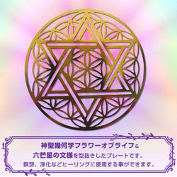 フラワーオブライフx六芒星(ダビデの星) ヘキサグラム ヒーリング プレート カード 浄化 金属製 古代神聖幾何学 2枚目の画像