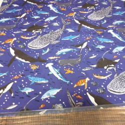 海の生き物柄(オックス)生地 50cm×50cm 生地 natuko@(ssym)a